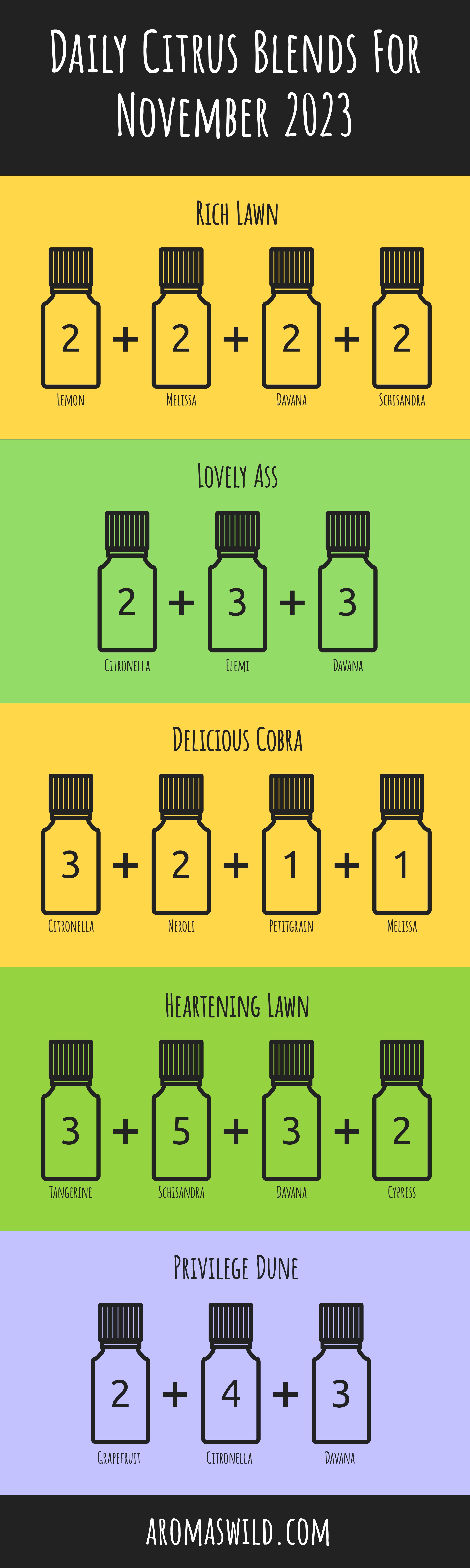 DIY Oil Blends Diffuser